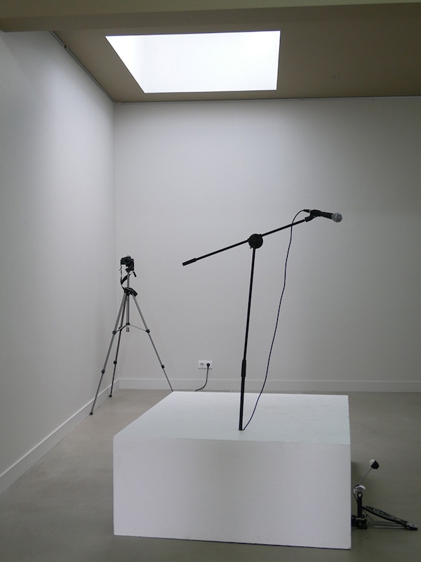 Pierre Andrieux, Sophie Mouron, vue de l'exposition Grand Salon, Rezdechaussee Bordeaux. Courtesy artistes