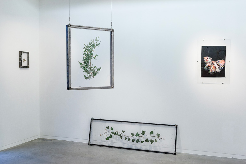 Pierre Gaignard vue exposition Bagnolet chamanique 4k, galerie Eric Mouchet Paris.