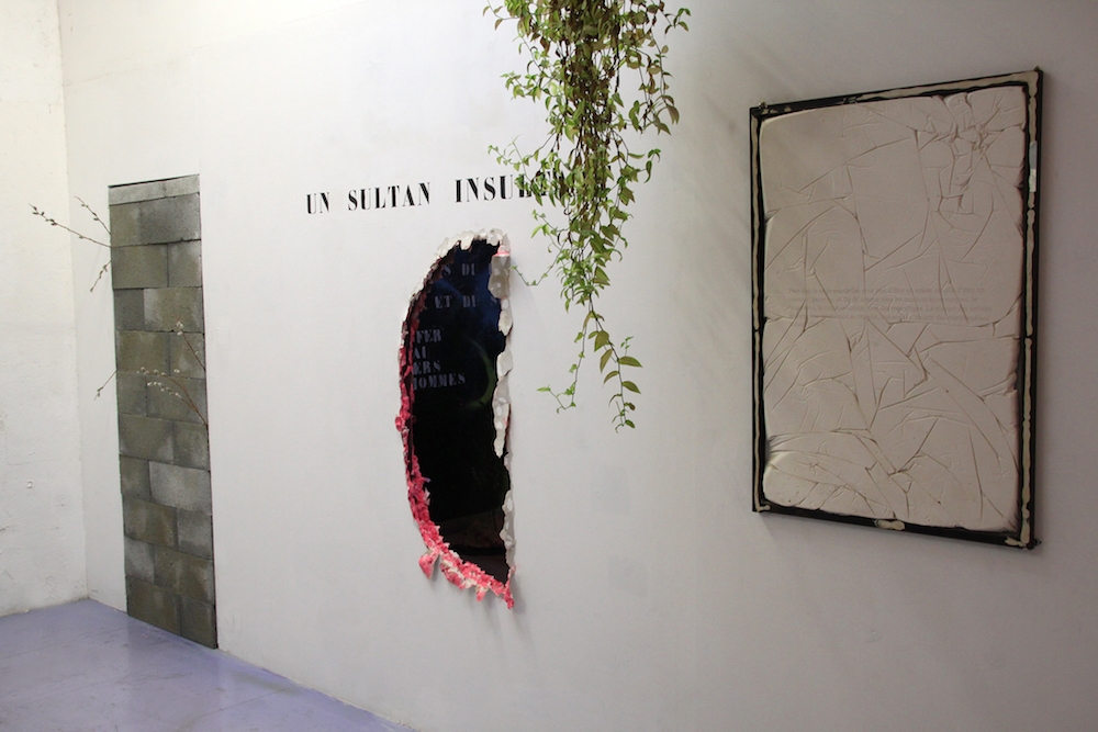 Wolf Cuyvers, Un Sultan insultant, Mutatio, Artist-run space, Nantes. Photo : Jean-Baptiste Janisset