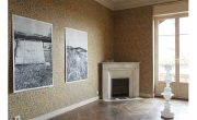 Eve Pietruschi, … pour effacer leurs pas… , Maison Abandonnée [Villa Cameline] Nice