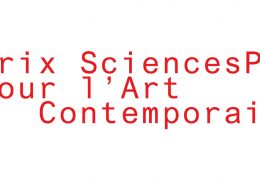 Prix Sciences Po pour l’art contemporain