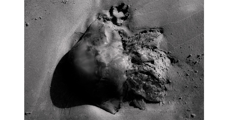 Sandrine Elberg, Poussières Silencieuses, Galerie du CROUS Paris