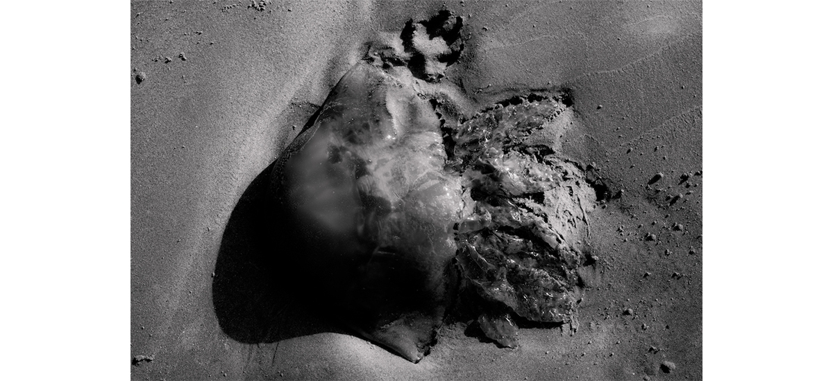Sandrine Elberg, Poussières Silencieuses, Galerie du CROUS Paris