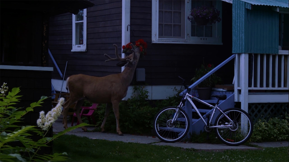 Neil Beloufa, Data for Desire, 2015 49’15’’, Vidéo HD, couleurs et son, sous-titres français Avec le soutien du consulat général de France à Vancouver Courtesy de l’artiste