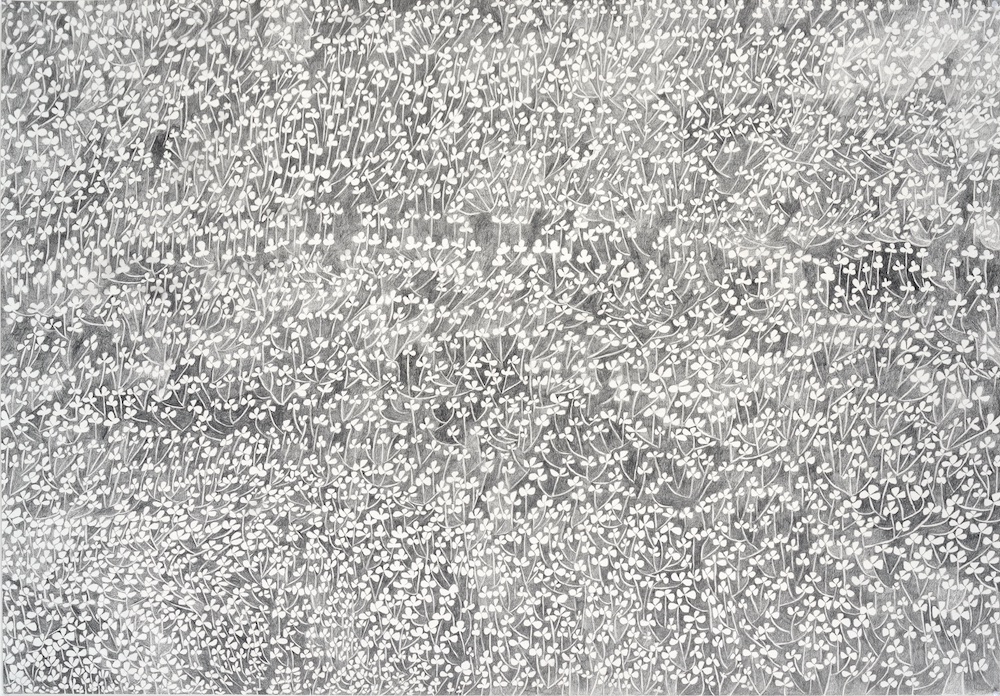 Christine Crozat, Dans les champs n°1, 2017. Graphite sur papier, 72 x 103 cm
