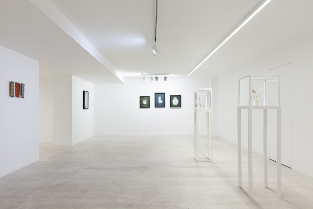 Vue de l'exposition Collettiva 5 + 5, galerie Italienne, Paris. Photo Paul Nicoué