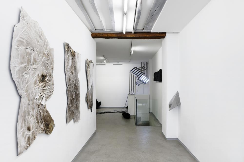 Vue d'exposition BL OB! Galerie Bertrand Grimont Paris.