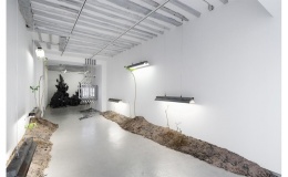 B L OB! galerie Bertrand Grimont Paris