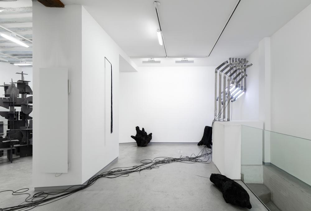 Vue d'exposition BL OB! Galerie Bertrand Grimont Paris.