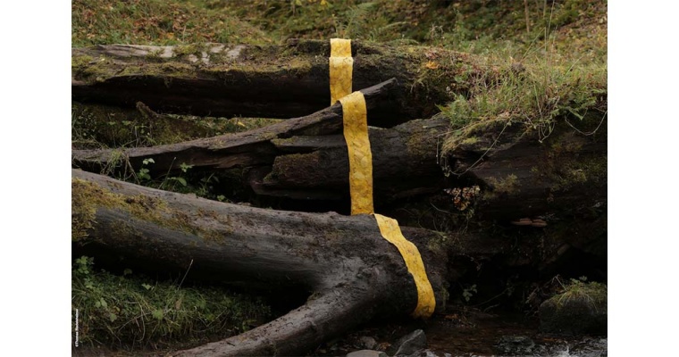 ANDY GOLDSWORTHY [ENTRETIEN]