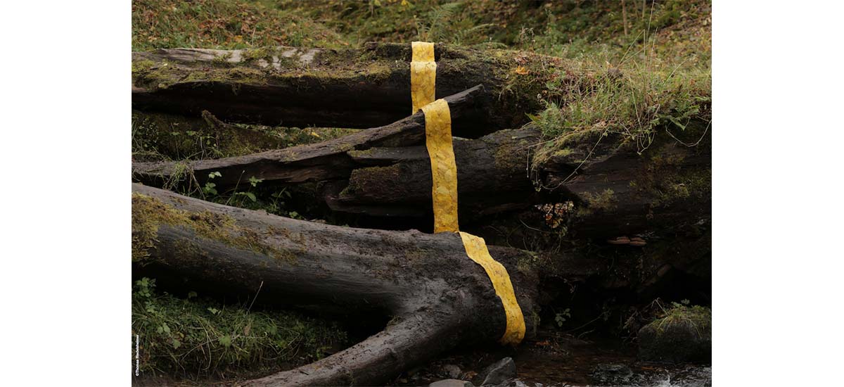 ANDY GOLDSWORTHY [ENTRETIEN]