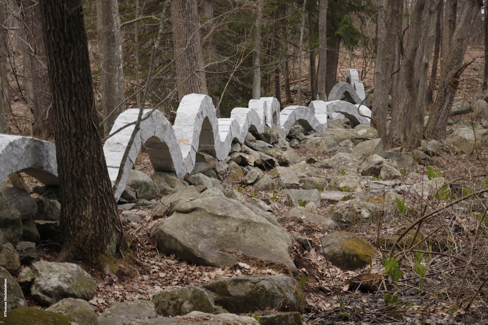 Andy Goldsworthy, Penché dans le vent, un film de Thomas Riedelsheimer