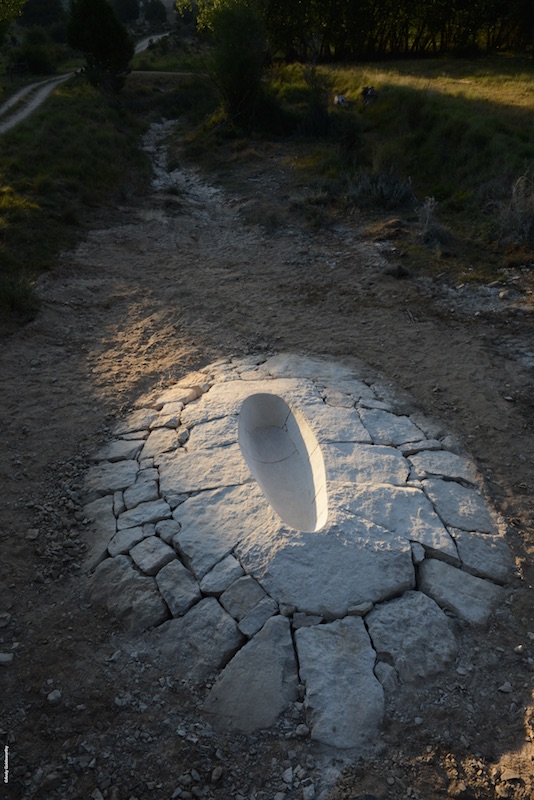 Andy Goldsworthy, Penché dans le vent, un film de Thomas Riedelsheimer