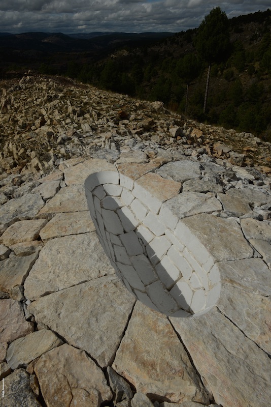 Andy Goldsworthy, Penché dans le vent, un film de Thomas Riedelsheimer