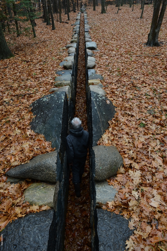 Andy Goldsworthy, Penché dans le vent, un film de Thomas Riedelsheimer