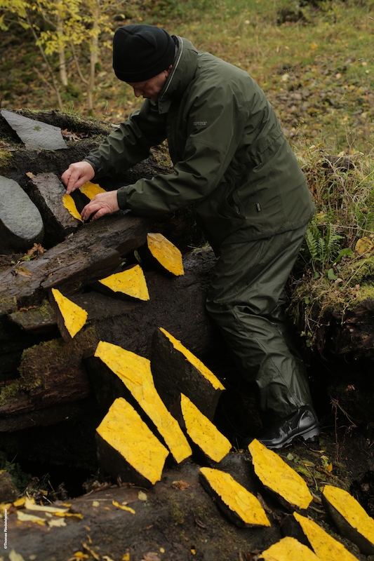 Andy Goldsworthy, Penché dans le vent, un film de Thomas Riedelsheimer
