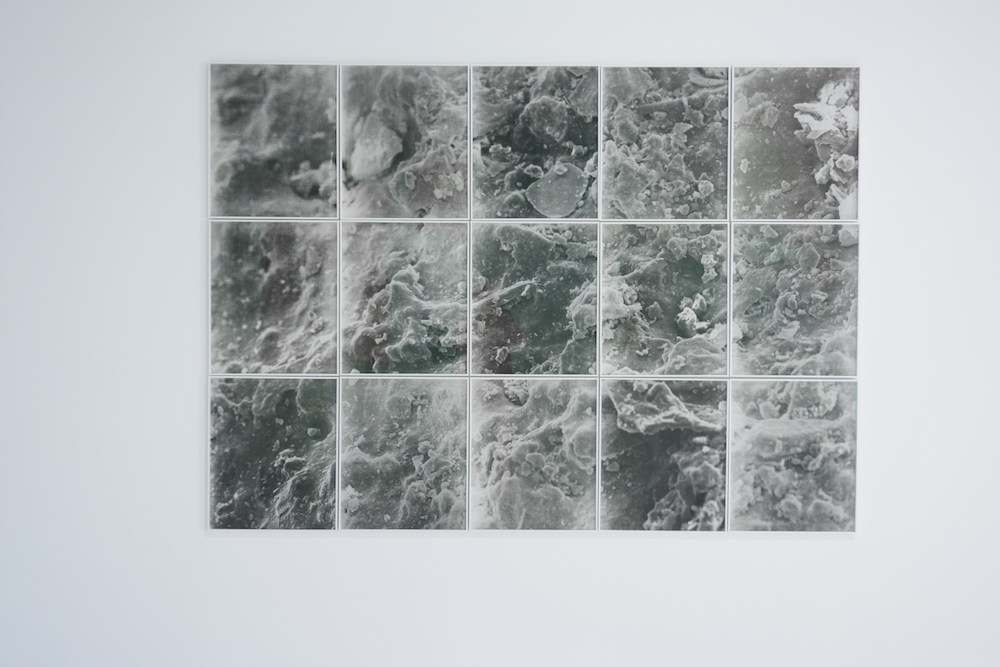 Caroline Corbasson, Field, 2017. Impression charbon sur papier, dimensions variables. Photo : Alain Alquier. Courtesy de l’artiste.