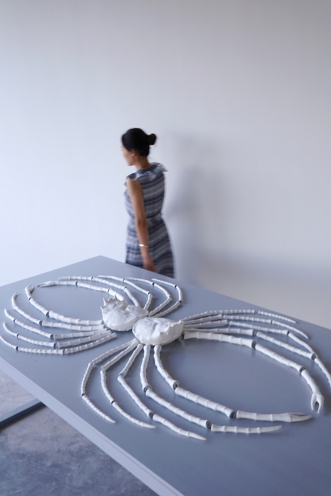 Elsa Guillaume, Mésoplagie 2017. Porcelaine. Courtesy de l’artiste © Elsa Guillaume - Service presse/MuMa – Le Havre