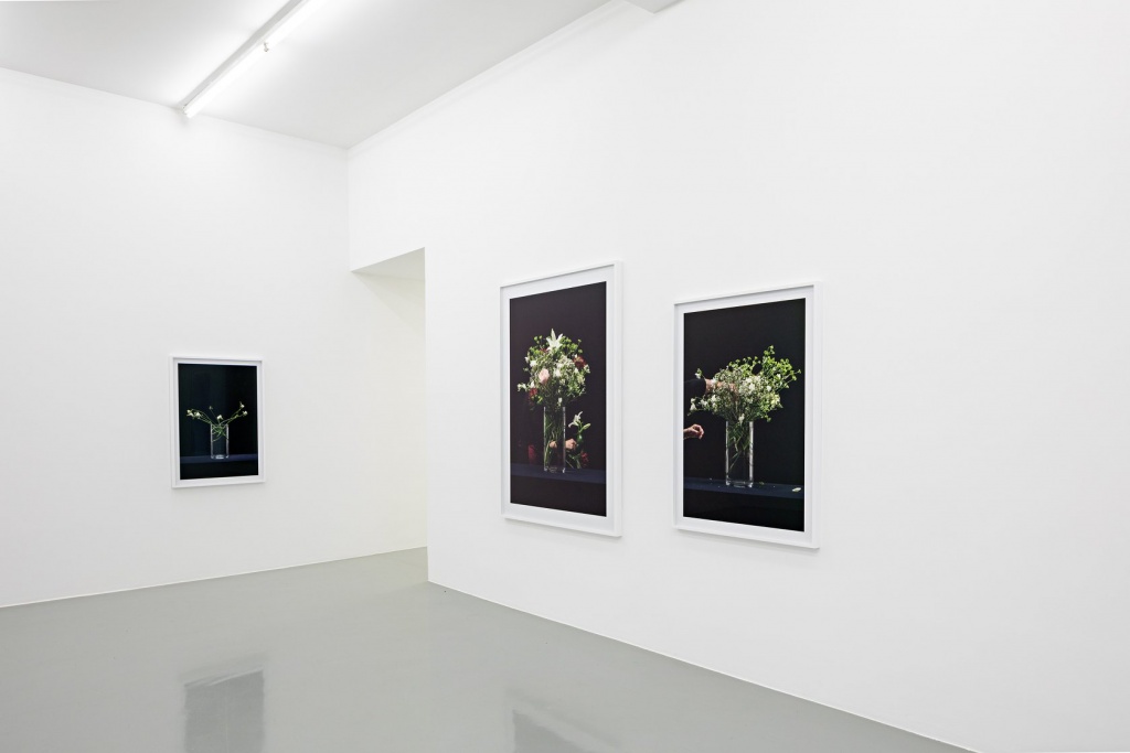 Martin Beck, "Flowers (série 1)", 2015 Courtesy Martin Beck & 47 Canal, New York / Photo : Fred Dott. Vue d'exposition "Martin Beck. Dans un second temps" au 49 Nord 6 Est - Frac Lorraine, Metz 06 juillet - 21 octobre 2018 - Photo: Fred Dott