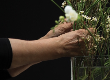 Martin Beck, "Flowers (série 1)", 2015 Courtesy Martin Beck & 47 Canal, New York / Photo : Fred Dott.