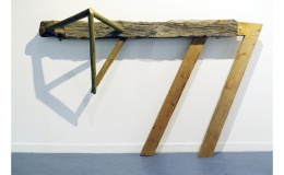 Alice Raymond, Mesurer le monde