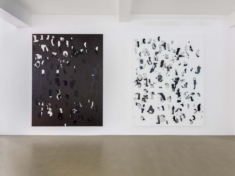 Debris Field/Notes for a Poem on the Third World/Soleil Nègre, Vue d'exposition. Crédits photo : Photo : Florian Kleinefenn, Courtesy of the artist and Galerie Chantal Crousel, Paris