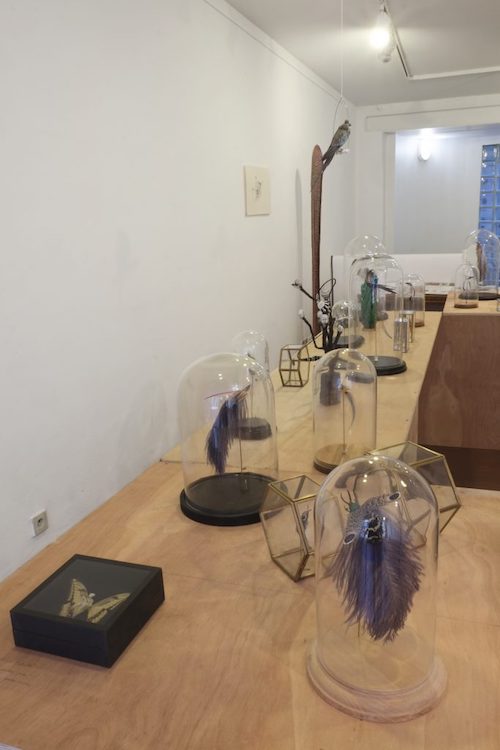 Exposition Chimères, Galerie Neuf, Nancy, 2018, vue d'exposition. Oeuvres : Amandine Gollé.