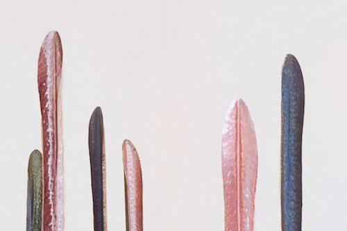 Amandine Gollé, Totems. Courtesy artiste.