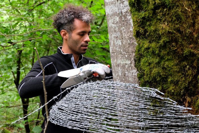 Vent des forêts - oeuvre 209, Champignons par Abdul Rahman Katanani, 2017