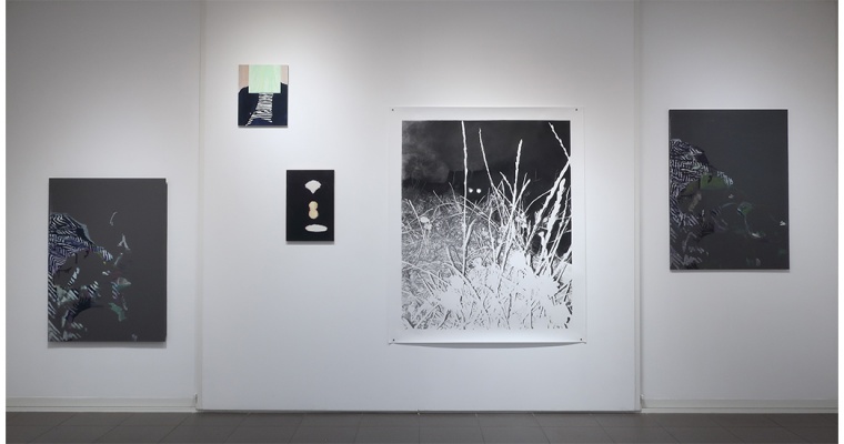 Plasmes, Julie Bonnaud et Fabien Leplae