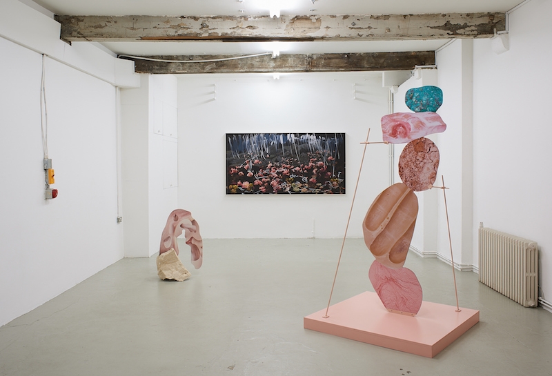 Installation view Rachel de Joode & Petra Cortright © Nicoletti Contemporary