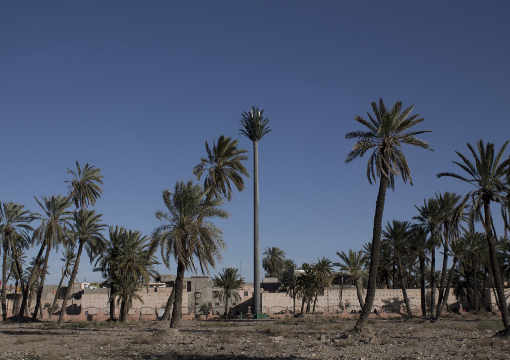 Oussama Tabti, Fake (détail), 2018. Cartes postales sur présentoirs