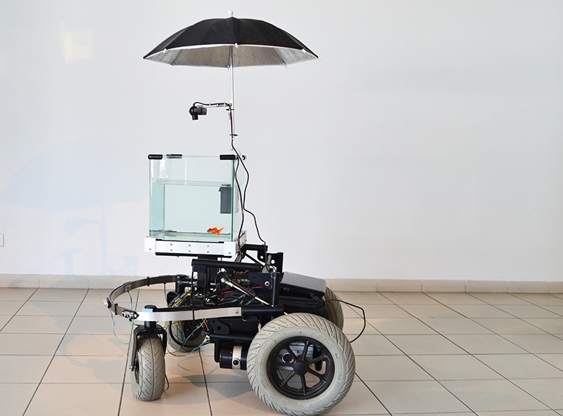 Quentin Destieu, Sylvain Huguet, Machine 2 Fish V2, 2016. Exosquelette pour poisson rouge.