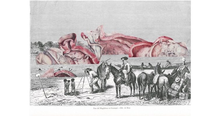 Guillaume Pelloux, Melancholia Artificialis