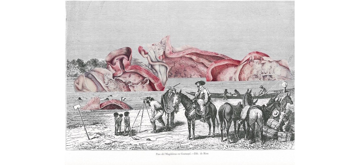 Guillaume Pelloux, Melancholia Artificialis
