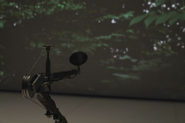 Thierry Fournier, Seul Richard, installation vidéo 2018. Courtesy artiste