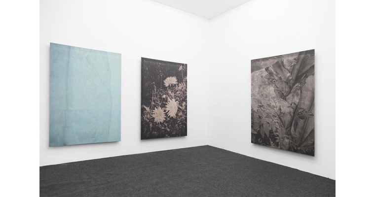 FLORIANE MICHEL, PARFOIS LES IMAGES SE DÉTACHENT, COHERENT, BRUSSELS