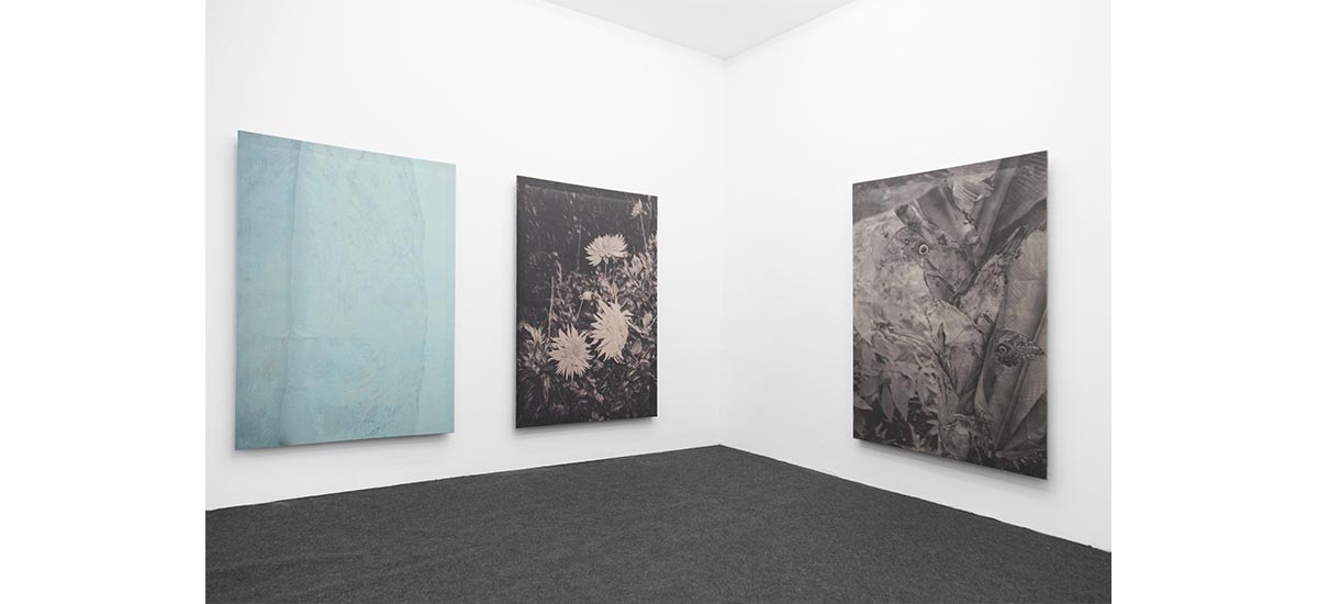 FLORIANE MICHEL, PARFOIS LES IMAGES SE DÉTACHENT, COHERENT, BRUSSELS