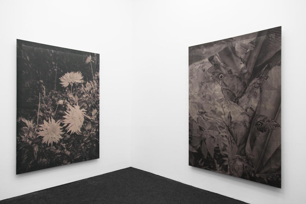 Vue de l'exposition Floriane Michel, Parfois les images se détachent, Coherent, Brussels