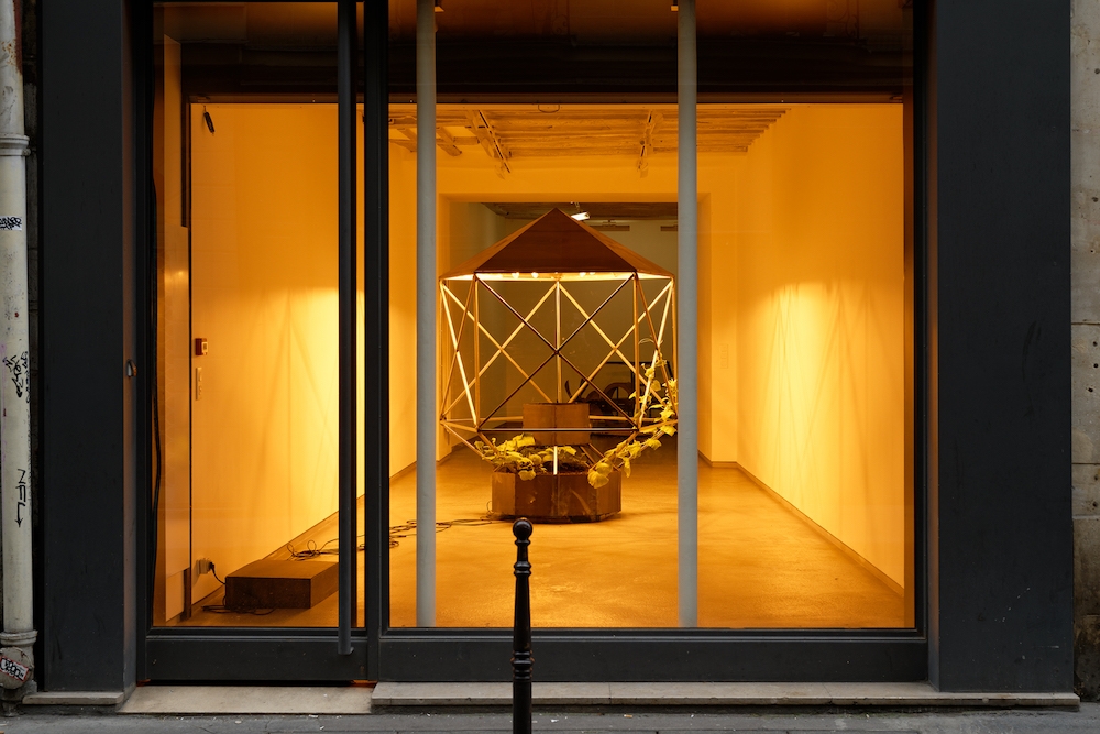 Vue d'exposition Nelson Pernisco, Si par parking vous comprenez jardin Photo Galerie Bertrand Grimont Paris