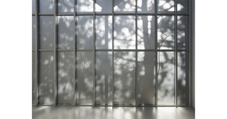 Daniel Steegmann Mangrané, Ne voulais prendre ni forme, ni chair, ni matière, Institut d’art contemporain, Villeurbanne