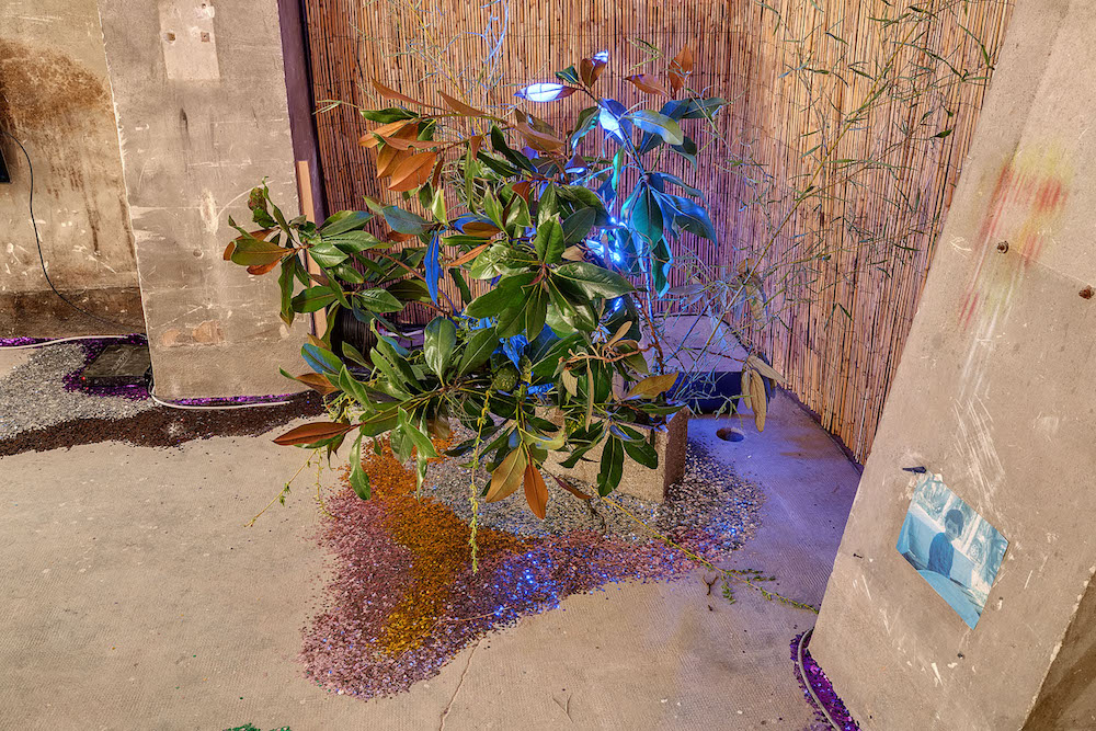 Flora Citroën, Le marketing du clan @Bunker Vue de l'exposition - Photo Romain Darnaud