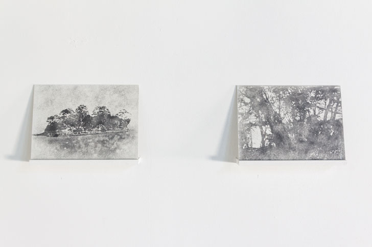 vue de l'exposition Nicolas Daubanes, « Le Hasard vaincu ». Photo Cécilia Philippe/ Les Ateliers Vortex