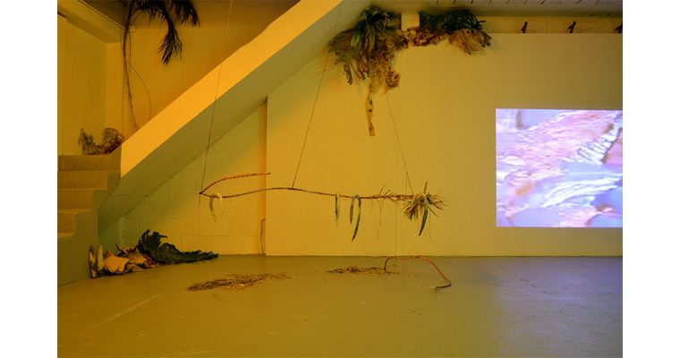 CHARLOTTE HENINGER, EN DEHORS DES LIMITES DU LAC FUTUR