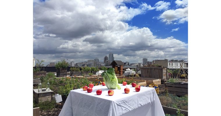 Côme Di Meglio, TransitionFOOD