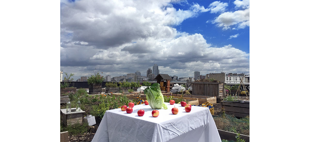 Côme Di Meglio, TransitionFOOD
