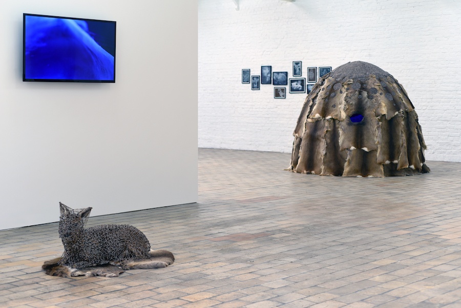 Exposition Histoires animales de Julien Salaud jusqu'au 08 décembre 2019 à DELTA STUDIO Roubaix