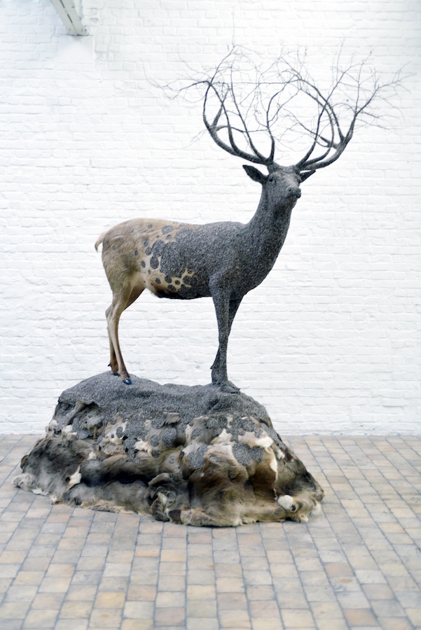 Exposition Histoires animales de Julien Salaud jusqu'au 08 décembre 2019 à DELTA STUDIO Roubaix
