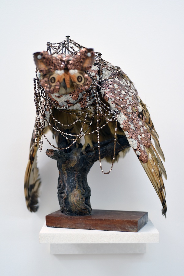Exposition Histoires animales de Julien Salaud jusqu'au 08 décembre 2019 à DELTA STUDIO Roubaix