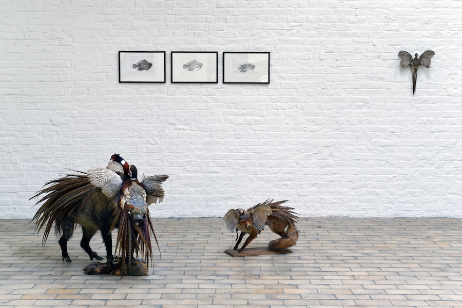 Exposition Histoires animales de Julien Salaud jusqu'au 08 décembre 2019 à DELTA STUDIO Roubaix